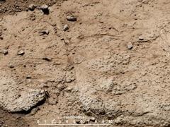 curiosity wakes up to drill this bumpy rock