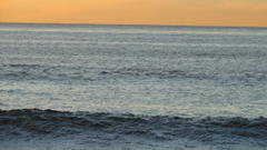 medical examiner releases id of surfer found dead near tourmaline beach