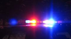 Glastonbury Police: Sandwich Thrown During Domestic Dispute